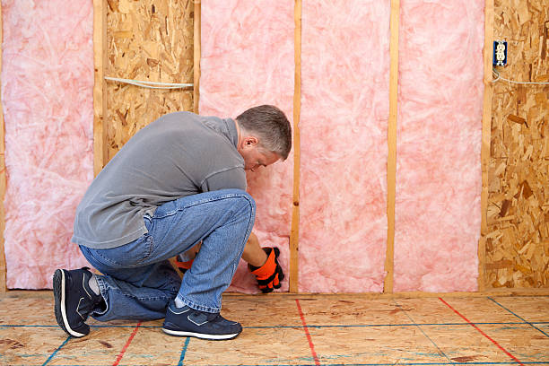 Best Energy Efficiency Insulation in Riverside, MD
